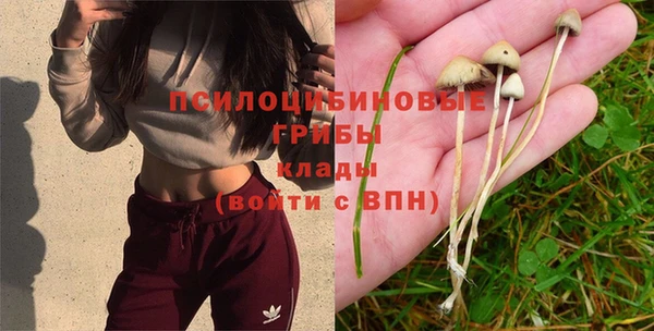 амф Касимов
