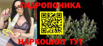 амф Балахна