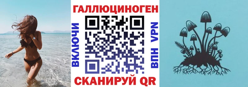 Купить  Киреевск  Галлюциногенные грибы Cubensis 