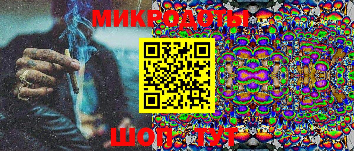 Галлюциногенные грибы Psilocybe Киреевск