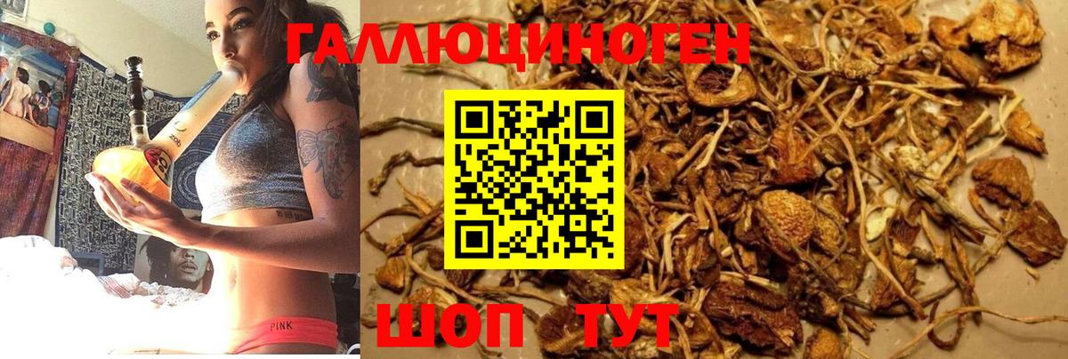 Псилоцибиновые грибы GOLDEN TEACHER  Галлюциногенные грибы прущие грибы  Киреевск  Вход с VPN 