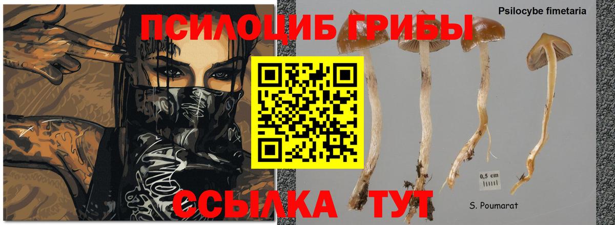 Псилоцибиновые грибы прущие грибы  Киреевск 
